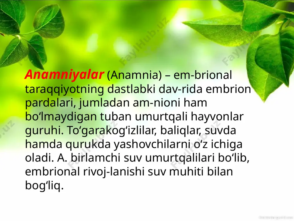 anamniyalarni o'rganing - Page 3