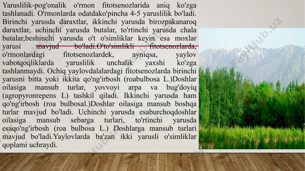 yaruslilik. yarus tipi - Page 4