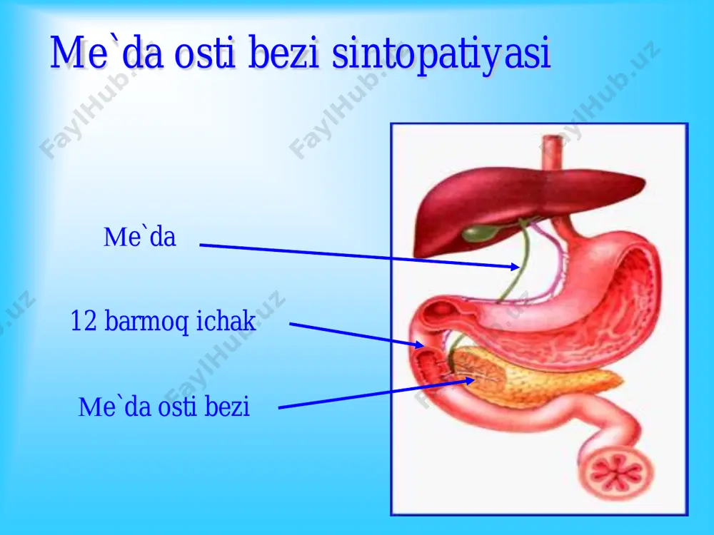 n kuprok va forsirlangan diurez. ii. intensiv terapevtik kompleks: 1. a’zolar va tizimlar mikrotsirkulyatsisini normallash (reopoliglyukin, refortan, geparin, suloleksid); 2. ekstrakorporal detoksikatsiya (plazmaferez, krioplazmaferez); 3. antifermentlarni kullash; 4. antisekretor terapiya (tsitostatik, ribonukleaza, dalargin, oktreotid, sandostatin); 5. suv va ishkorlar urnini koplash, metabolik va oksillar urnini koplash; 6. antigipoksik va antioksidant terapiya; 7. immun buzilishlar korrektsiyasi (ronkoleykin, timogen, tsikloferon). o`tkir pankreatit • me’da osti bezi to`qimalarining o`z fermentlari ta’siri ostida autolizga uchrashi oqibatida yuzaga ke-ladigan degenerativ-yallig`lanish jarayoni. • biliar yoki digestiv pankreatik reflyuks; pankreatik yo`llar gipertenziyasi yoki o`tkazuvchan- ligining buzilishi; me’da osti bezining qon bilan ta’minlanishining buzilishi; allergik va infektsion jarayonlar; alkogol ta’siri. etiologiyasi o`tkir pankreatit patogenezi up ekzogen sabablari up endogen sabablari i. bioximik komponentlar 1. oit gormonlari stimulyatsiyasi 2. lipolitik fermentlar faolligi 3. fermentlar mutonosibligini buzilishi 4. oralik maxsulotlarini yigilishi 5. yalliglanish mediatorlarini ishlab chikilishi 6. kallikreii-kinin tizimi va trombin tizimini ishga tushishi o'tkir shishli pankreatit ii. immunologik komponentlar …
