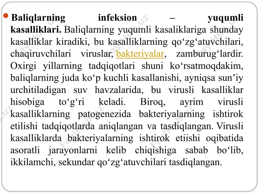 butun qon tomirning endotelial xujayrasida rivojlanib koʼpayadi, soʼngra butun ichki organ va toʼqimalarga tarqaladi va chuqur patologik jarayonni keltirib chiqaradi. nerv sistemasining zararlanishi oqibatida kasallikning nerv formasi namoyon boʼladi. qon tomirlarning epiteliyasining zararlanishida, ularning oʼtkazuvchanligi oshadi, qon qoʼyilishlar kuzatiladi, devori shikastlanadi va gemorragik holatni kelib chiqishiga sabab boʼladi. surunkali oqimda toksikoz oqibatida shishlar hosil boʼladi, osmoregulyasiya jarayoni buziladi. nerv sistemasi zararlanganda harakat koordinatsiyasi buziladi. giperglikemiya, lipidlar mikdori kamaygan, elektrolitlarning kontsentratsiyasi oʼzgaruvchan, qon zardobida oqsil mikdori, ayniqsa albuminlar kamaygan, biroq alfa va betta globulinlar oshgan. diаgnoz kasallikka diagnoz kompleks usulda: epizootologik maʼlumotlar, klinik belgilariga qarab va pat.anatomik oʼzgarishlariga asoslanib qoʼyiladi. eng ishonchli diagnoz – bu vgs virusini ajratib uni toʼqima kulturasida ustirish, serologik reaksiyalar qoʼyib identifikatsiya qilish hamda kasallikka moyil baliqlarga bioproba qoʼyishdir. dаvolаsh, oldini olish vа qаrshi kurаshish tаdbirlаri vgs kasalligini davolash usullari ishlab chiqilmagan. chet el olimlari antibiotik (oksitetratsiklin) va antiseptik (metilen koʼki) lardan foydalanishni tavsiya qilmokdalar. bular virusni …