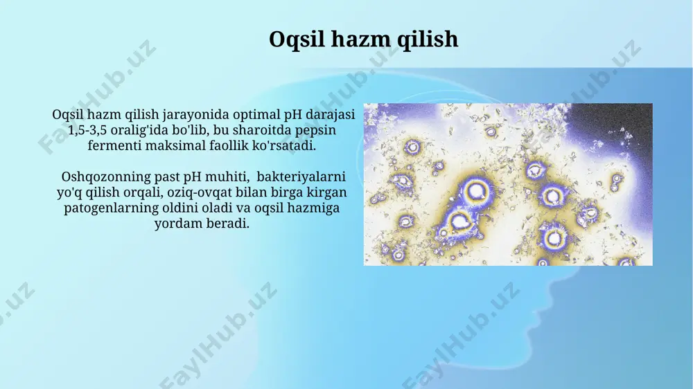 oshqozon yarasi - Page 5