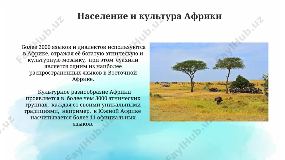 afrika - Page 3