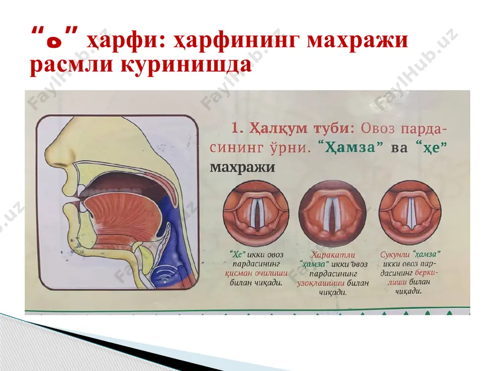 “қуръони карим ва тажвид” ўқув курси - Page 5
