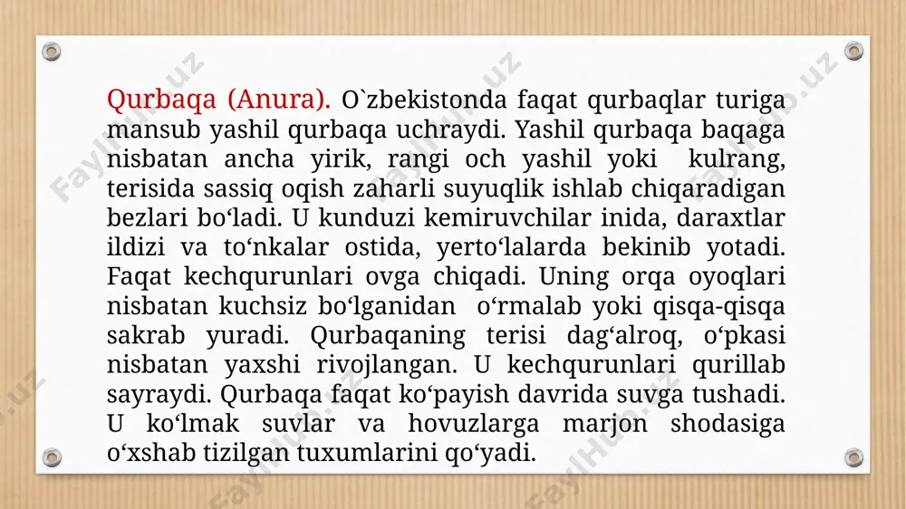 amfibiyalar - Page 5