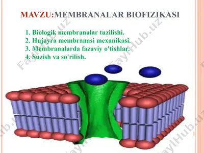 membranalar biofizikasi — PPT