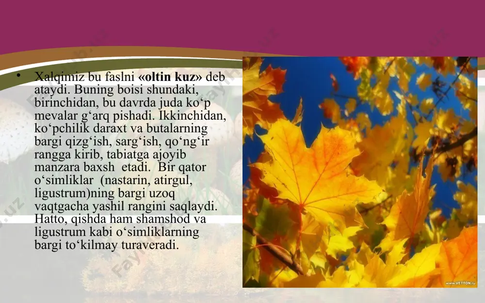 kuz faslida o’simliklar hayotida ro’y beradigan o’zgarishlar. 5 - sinf - Page 5