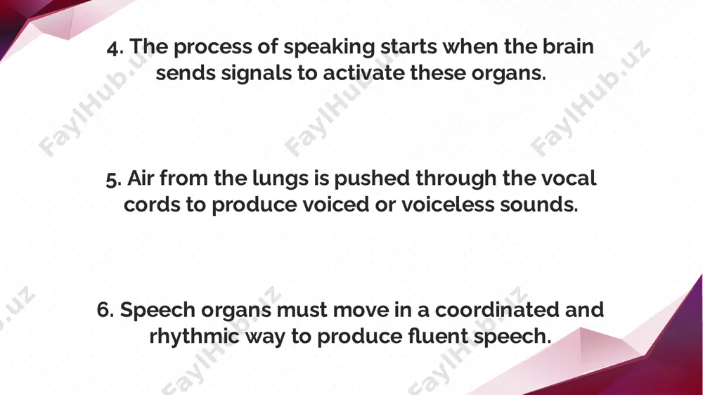 speech organs and their functions - Page 3