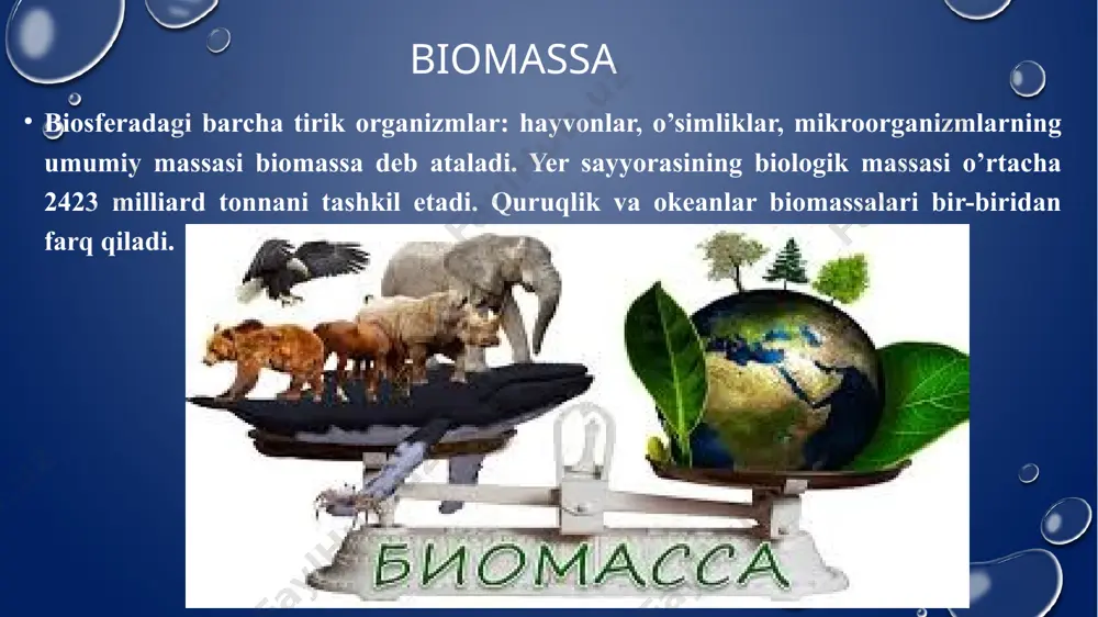 iladigan kimyoviy vosita) biosferda muhim tarkibiy qismi bo’lgan tuproq organizmlarining yoppasiga nobud bo’lishioga sabab bo’ladi. tuproq bilan ehtiyotkorona munosabatda bo’lish va uni muhofaza qilish lozim. hozirgi kunda insonlar million yillar davomida shakllangan ulkan ekotizim qonuniyatlarini buzmagan holda hamda biomassaning olib kelmaydigan faoliyat yuritishlari lozim. aziz zamindoshlar ona tabiatimizni asraylik va himoya qilaylik! atamalar ma’nosini toping. quruqlik biomassasi okean biomassasi tuproq biomassasi savollarga javob toping. quruqlik biomassasini ta’riflang. nima uchun quruqlik biomassasi qutblardan ekvatorga qarab ortib boradi? tuproq biomassasini nima tashkil qiladi? dunyo okeani biomassasi qanday taqsimlangan? inson faoliyati yer biomassasiga qanday ta’sir ko’rsatadi? image2.png image3.png image4.png image5.png image6.png image7.png image8.png image9.png image10.png image11.png image12.png image13.png image14.png image15.png image16.png image17.png image18.png image19.png image20.png image21.png image22.png image23.png image24.png image25.png image26.png image27.png image28.png image29.png image30.png image31.png image32.png image33.png image34.png image35.png image36.png image37.png image38.png image39.png image40.png image41.png image42.png image43.png image44.png image45.png image46.png image47.png image48.png image1.png /docprops/thumbnail.jpeg