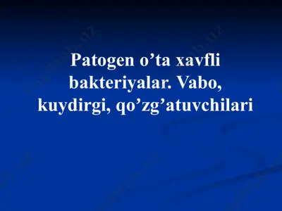 patogen oʼta xavfli bakteriyalar. vabo, kuydirgi, qoʼzgʼatuvchilari — PPTX