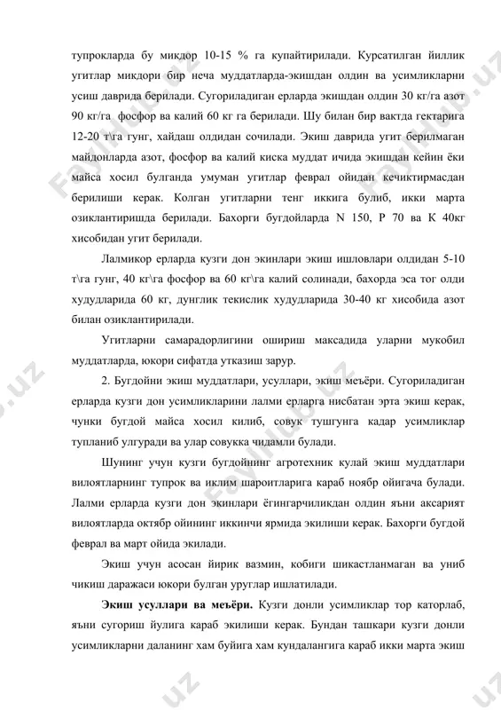 ралари культиваторлар ёрдамида юмшатилади, юмшатилган катор оралигига галла уруги сепилади. уругни экиш меъёри. уругни экиш меъёри уругликни сифатига тупрок унумдорлиги ва сув билан таъминланишига караб хар хил булади. лалми ерлар унумсиз ва сув билан таъминланмаганлиги сабабли экиш меъёри камрок булади. тог олди ва тоглик зоналарда тупрок дунглиги ва текислик зоналарига караб экилади. шунга кура бундай ерларда гектар хисобига 2,0-2,5 млн, 2,5-3 млн, 3,0-3,5 млн дона , яъни 60-70 кг дан 120-125 кг гача уруг сарфланади. сугориладиган ерларда лалми ерларга нисбатан икки баробар куп, яъни гектарига 4-5 млн дона унувчан уруг экилиши керак. бахорда экилганда экиш меъёри сугориладиган ерларда янада купайтиради, лалми ерларда 3-4 млн донагача камайтирилади. кузги бугдойни экиш чукурлиги, уни совукка чидамли булишида катта ахамиятга эга. уруг чукуррок экилганда тупланиш бугини хам чукуррок жойлашади. кузги, кишки совуклар пояларга таъсир килган вактда хам тупланиш бугимига таъсир килмаса усимлик нобуд булмайди. шуни эътиборга олган холда кузги дон экинларини уруги экиш вактида …