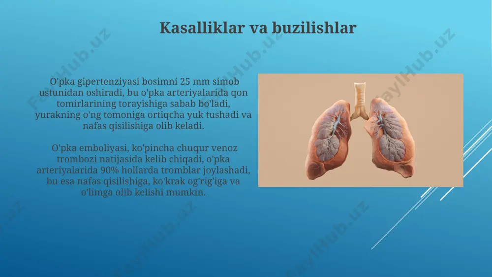orqali kislorodga boy qonni barcha to'qimalarga yetkazadi. bu qon tomirlari orqali o'tib, taxminan 5 litr qonni har daqiqada ta'minlaydi. xulosa pulmonar qon aylanishi 1.0 litr qonni o'pkadan yurakning chap bo'lmachasiga olib o'tadi, unda kislorod bilan boyigan qon 98% to'yinganlik darajasiga ega bo'ladi va sistem qon aylanishiga o'tadi. sistem qon aylanishi organizm to'qimalariga 5.0 litr qon yetkazib beradi, bunda kislorod miqdori 75% gacha kamayadi, karbonat angidrid miqdori esa ortadi, keyin qon yurakning o'ng bo'lmachasiga qaytadi. e'tiboringiz uchun rahmat @taqdimot_robot image1.jpg image2.jpg image3.jpg image4.jpg image5.jpg image6.jpg image7.jpg image8.jpg image9.jpg image10.jpg image11.jpg image12.jpg