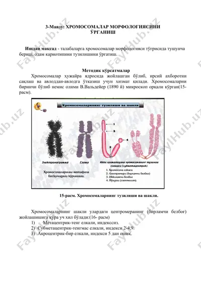 хромосомалар морфологияси — DOCX