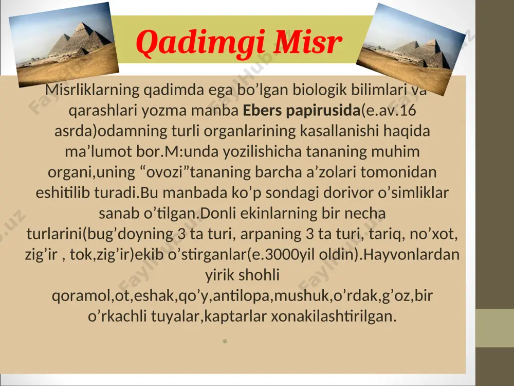 hi yunon mutafakkiri aristotelning (er.av. 384-322 y.) “mavjudodlar narvoni” deb atalgan g’oyasida o’z ifodasini topgan. aristotel tuzgan hayvonot dunyosi sistematikasi qonlilar tirik tug’uvchi to’rt oyoqlilar aristotel ayrim hayvonlarni zoofitlar deb atagan. bu organizmlar bir tomondan o’simliklarga ikkinchi tomondan hayvonlarga o’xshagan. zoofitlar meduza aktiniya bulutlar aristotel materiya passiv, harakatlanish kuchiga ega emas, lekin unda aktivlik, rivojlanish imkoniyatlari bor, shu imkoniyatlarning ro’yobga chiqishi uchun shakllantiruvchi manba dastlabki ichki kuch zarur degan fikrlarni ilgari surgan. manba(entelexiya) olam o’z – o’zidan paydo bo’lgan, hayvonlar nam yerdan kelib chiqqan, dastlab ularning mayib majruh xillari, keyinchalik esa harakatlanadigan, oziqlanadigan, urchiydigan, dushmanlardan o’zini himoya qiladigan hayvonlar paydo bo’ldan tibbiyot asoschilaridan biri bo’lib, u qo’y, it, ayiq va boshqa umurtqali hayvonlarning tuzilishi o’xshashligini etirof etgan. biroq uning fiziologiya sohasidagi tushunchalarida ba’zi xatoliklarga yo’l qo’yilgan. masalan, havo yurakka boradi, qon yurakning bir qorinchasidan ikkinchisiga, ular orasidagi devor teshiklaridan o’tadi degan fikrlar shular jumlasidandir. lukretsiy kar klavdiy galen markaziy osiyoda …