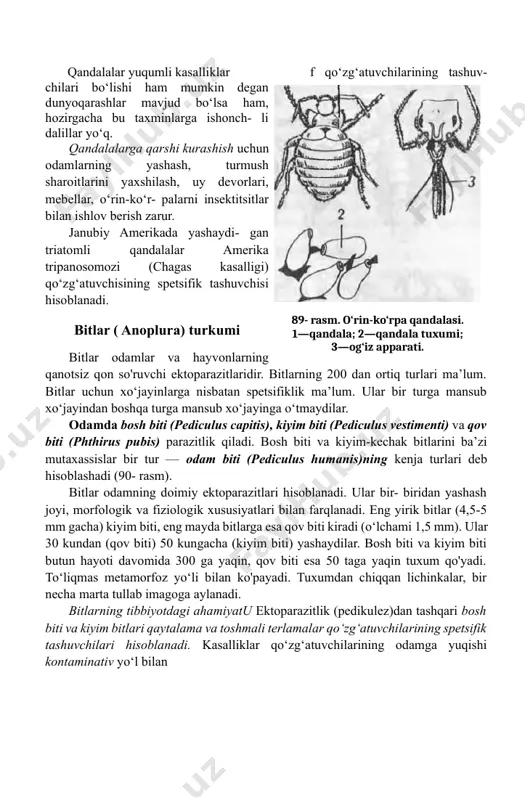 i; 3—og‘iz apparati. bitlar odamlar va hayvonlarning qanotsiz qon so'ruvchi ektoparazitlaridir. bitlarning 200 dan ortiq turlari ma’lum. bitlar uchun xo‘jayinlarga nisbatan spetsifiklik ma’lum. ular bir turga mansub xo‘jayindan boshqa turga mansub xo‘jayinga o‘tmaydilar. odamda bosh biti (pediculus capitis), kiyim biti (pediculus vestimenti) va qov biti (phthirus pubis) parazitlik qiladi. bosh biti va kiyim-kechak bitlarini ba’zi mutaxassislar bir tur — odam biti (pediculus humanis)ning kenja turlari deb hisoblashadi (90- rasm). bitlar odamning doimiy ektoparazitlari hisoblanadi. ular bir- biridan yashash joyi, morfologik va fiziologik xususiyatlari bilan farqlanadi. eng yirik bitlar (4,5-5 mm gacha) kiyim biti, eng mayda bitlarga esa qov biti kiradi (o‘lchami 1,5 mm). ular 30 kundan (qov biti) 50 kungacha (kiyim biti) yashaydilar. bosh biti va kiyim biti butun hayoti davomida 300 ga yaqin, qov biti esa 50 taga yaqin tuxum qo'yadi. to‘liqmas metamorfoz yo‘li bilan ko'payadi. tuxumdan chiqqan lichinkalar, bir necha marta tullab imagoga aylanadi. bitlarning tibbiyotdagi ahamiyatu ektoparazitlik …