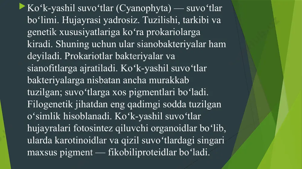 ko’k yashil suv o’tlari - Page 4