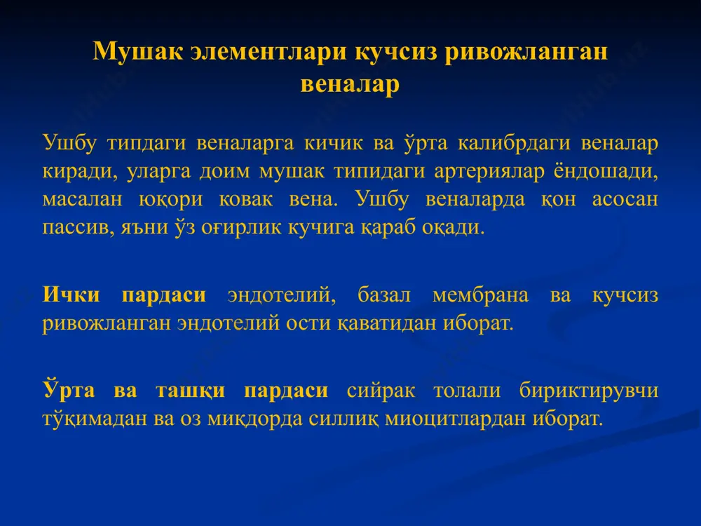 алар) → ҳп генерацияси частотаси 40-50 имп/мин. ўтказувчи (асл ўтказувчи, пуркинье ҳужайралари, ритм бошловчи учинчи ва тўртинчи тартибли ҳужайралар): - кичик пуркинье ҳужайралари → ҳп генерацияси частотаси 30-40 имп/мин – йирик пуркинье ҳужайралари → ҳп генерацияси частотаси 20-30 имп/мин. юракнинг ўтказувчи системаси кардиомиоцитлари i – юрак ўтказувчи системаси элементларининг жойлашиши схемаси ii – синус ва атриовентрикуляр тугун кардиомиоцитлари: а – р-хужайралар, б – оралиқ хужайралар, iii – гис тутами кардиомиоцити iv – пуркинье толалари: 1 – ядролар, 2 – миофибрил-лалар, 3 – митохондриялар, 4 – саркоплазма,5– гликоген доначалари, 6 – оралиқ филаментлар, 7 – миофиламент комплекси юракнинг ўтказувчи системаси компонентлари юракнинг ўтказувчи системаси компонентлари функцияси 1. синус-бўлмача тугуни (р-ҳужайралар, оралиқ ҳужайралар, сийрак толали бт, томирлар, капсула, нерв аппарати) қисқариш ритмларининг асосий бошқарувчиси (60-90 имп/мин.) 2. атрио-вентрикуляр тугун (оралиқ ҳужайралар, р-ҳужайралар, сийрак толали бт, томирлар, капсула, нерв аппарати) гисс тутамларига импульсларни ўтказиш резерв ритм бошқарувчиси 3. гисс тутамлари (кичик пуркинье ҳужайралари, …