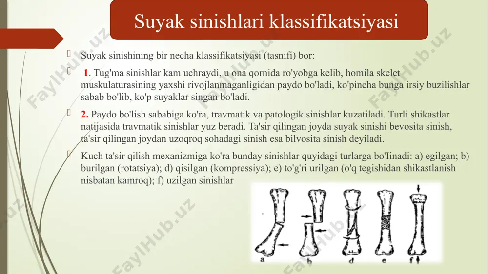 rishi natijasida suyak sinib, uzunasiga siljiganda yuzaga keladi. qoqilgan sinishlarda singan sohaning qisqarishi unchalik sezilmaydi. 6. shish va qon quyilishi singan joyda har xil bo'lishi mumkin. yelka suyagi singanda atrofdagi yumshoq to'qimaga 0,5-0,75 litr gacha, son suyagi zararlanganda-1,5-2 litr qon qo'yiladi. 7. krepitatsiya (suyak qirsillashi) - suyak singanining aniq belgisi bo'lib, zararlangan qo'1-oyoqni harakat qildirganda krepitatsiya paydo bo'ladi, u suyak siniqlarining bir-biriga tegishi natijasida ro'yobga keladi. birinchi yordamdan maqsad - singan joyga osoyishtalik berish, ya'ni qotirilgan suyak siniqlarini qimirlatmaslik va og'riqni qoldirish, shuningdek ochiq sinishlar uchun infeksiyaning oldini olish, qon ketishini to'xtatish hisoblanadi. ochiq sinishlarda ketayotgan qon to'xtatiladi, jarohat atrofi ustidagi teri dezinfeksiya qilinib, bog'lam qo'yiladi. immobilizatsiya uchun transport shinalaridan yoki uning o'rnini bosuvchi qotirish vositalaridan foydalaniladi shina - shikastlangan qo'1-oyoqqa qo'yiladi, buning uchun albatta yaqin oradagi ikkita bo'g'im fiksatsiya qilinishi lozim (elka va son suyaklari singanda uchta bo'g'im qotiriladi). umurtqa pog'onasi, tos suyaklari singanda bemorlarni transportirovka qilish uchun maxsus …