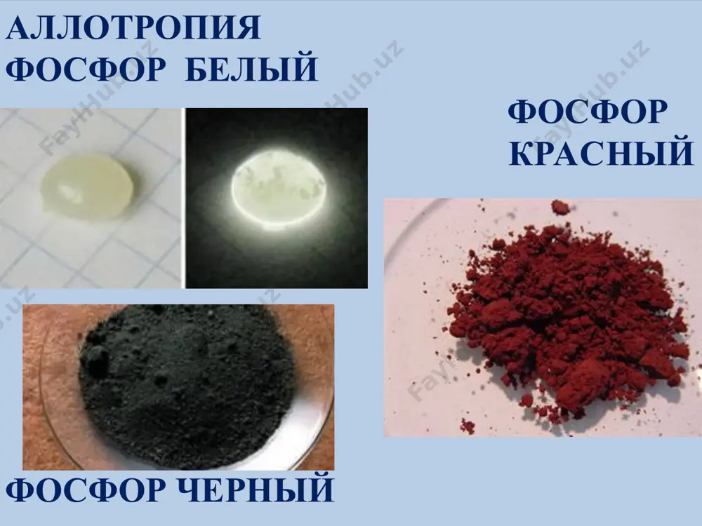 шлатиш мумкин. фосфорит уни - фосфоритни ун ҳолига келгунча майдалаш йўли билан олинади. бу ўғит гигроскопик эмас, муштлашиб қолмайди. унинг таркибидаги p2o5 нинг миқдори 19-30% атрофида бўлади. фосфорит уни – энг арзон фосфорли ўғит. бу ўғит барча кузги экинларга, шунингдек чопиқ-талаб экинларга – қанд лавлаги, картошка, маккажўхори ва бошқаларга солинганда энг кўп самара беради. фосфорит уни қанча кўп солинган бўлса, унинг таъсир этиш давомийлиги ҳам шунча узоқ бўлади.