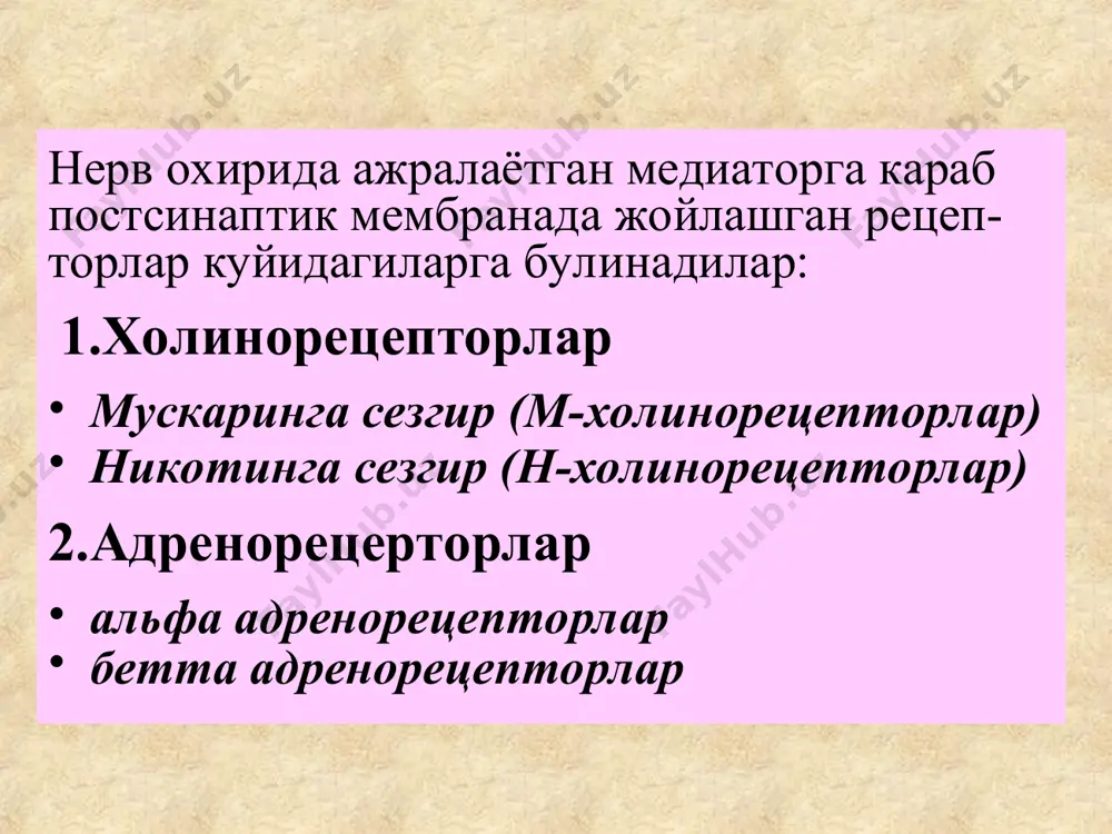 ганглияларини ҳам қўзғатади, лекин бунда келиб чиқувчи ўзгаришлар м-холинамиметик таъсиридаги ўзгаришлар соясида қолади. кўндаланг тарғил мускулларида ах таъсирида қўзғалиш импульсларини ўтказилиши ортади. карбохолин- бу дори ах ўхшайди, лекин холинэстераза ферменти уни гидролизламайди, шунинг учун у турғун ва таъсири давомлидир. карбохолин м-ва н-холинорецепторларни бараварига қўзғатади ах чақирган ўзгаришлар содир бўлади. тиббиётда карбахолин глаукомада, ичак ва пешоб пуфагини атониясини бартараф қилишда қўлланилади. антихолинэстераз воситалар. улар ах-ни гидроловчи холинэстераза ферменти фаоллигини сусайтириб ганглия ва нейроэффектор синапсларда ахни тўпланишига олиб келадилар. бунда ахнинг кучли ва давомли таъсири юзага чиқади, худди м-ва н-холинорецепторлари қўзғалгандек, лекин таъсир бунда бевосита эмас, балки билвосита, яъни ушбу гуруҳ препаратлари холинорецепторларга ўзлари таъсир кўрсатмайдилар . ацетилхолинэстераза ферменти билан ҳосил қиладиган бирикмасининг табиатига қараб антихолинэстераз воситалар 2га бўлинади: қайтар таъсирли дорилар (физостигмин, прозерин, галантамин) қайтмас таъсирли дорилар (фосфакол, фосфор органик бирикмалар) антихолинэстераз воситаларнинг ацетилхолин-эстераза ферментини фалажлаши ферментнинг анион ёки эстераза-эфир қисми билан боғланишига боғлиқдир. бунда гидрофоб ўзаро таъсиротлар муҳим роль ўйнайди. …