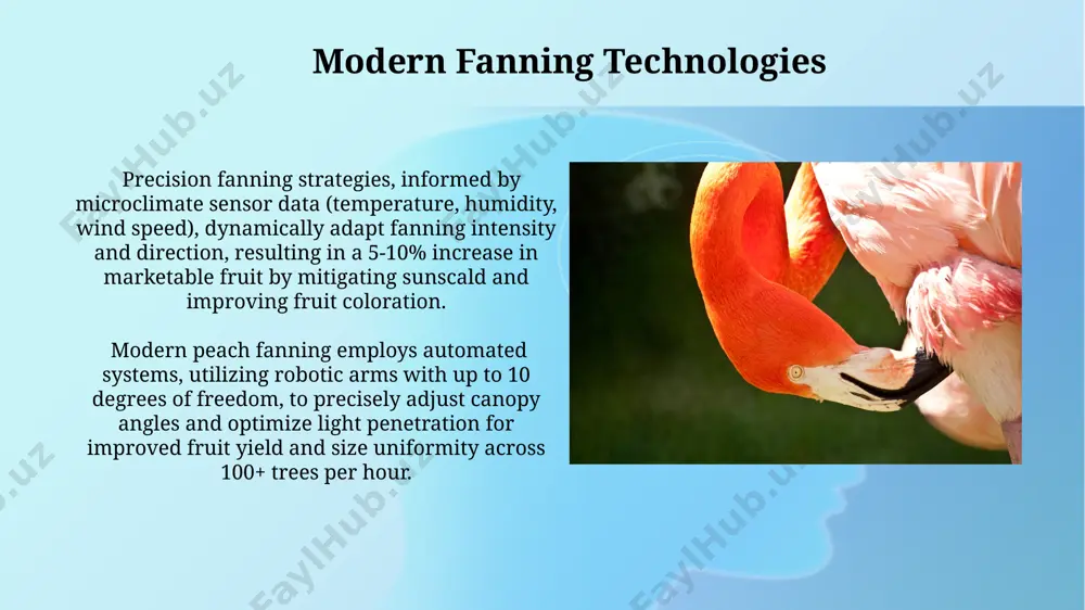 iration rates. future trends in peach fanning precision robotics will automate up to 30% of peach fanning by 2030, increasing efficiency and reducing labor costs, particularly for large-scale orchards employing ai-guided systems. the integration of sustainable materials, like biodegradable bamboo fans, will represent a significant shift in the industry, addressing environmental concerns and potentially lowering operational costs by 15% in the next decade. introduction to peach fanning effective peach fanning techniques, ideally implemented 6-8 weeks post-bloom, reduce the incidence of diseases like brown rot by up to 20% due to improved canopy aeration and rapid drying of foliage. depending on the tree density and cultivar, appropriate fanning can increase overall yield by an average of 5-10%, primarily by optimizing light interception for photosynthesis and nutrient distribution. understanding peach physiology peaches are climacteric fruits, exhibiting a respiratory surge during ripening. understanding this ethylene production peak is crucial for determining when fanning …
