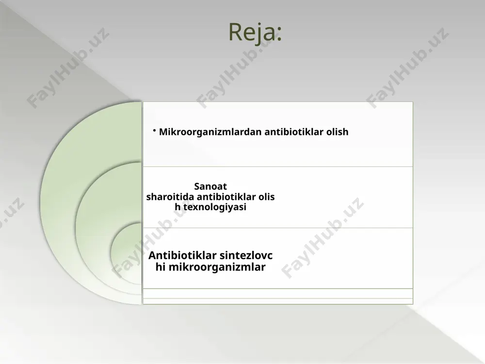ozuqa moddalar, ph darajasi, harorat va kislorod miqdori nazorat qilinadi. 2. antibiotik ishlab chiqarish bosqichlari mikroorganizmlar ozuqa moddalaridan foydalanib, antibiotik moddasini sintez qiladi va o‘z metabolizmi natijasida ajratib chiqaradi. c) antibiotiklarni ajratib olish fermentatsiya jarayonida hosil bo‘lgan antibiotik suyuqlikdan ajratib olinadi. bu jarayon filtratsiya, ekstraksiya yoki xromatografiya kabi usullar yordamida amalga oshiriladi. antibiotik modda tozalanib, farmatsevtik foydalanish uchun yaroqli shaklga keltiriladi. d) tozalash va sifat nazorati antibiotikni ajratib olishdan keyin uni tozalash va konsentratsiya qilish jarayonlari amalga oshiriladi. tozalash jarayonlari antibiotikni yuqori samaradorlikka ega bo‘lishini ta’minlaydi. har bir antibiotik dori shaklida chiqarilishidan oldin sifat nazorati o‘tkaziladi. bu antibiotikning ta’sirchanligi, barqarorligi va xavfsizligini ta’minlash uchun muhimdir. har bir antibiotik o‘ziga xos biosintez yo‘liga ega. masalan, penitsillin zamburug‘ tomonidan sintez qilinadi va uning kimyoviy tarkibi beta-laktam guruhi hisoblanadi, bu esa unga bakteriyalar hujayra devorini yo‘q qilish imkoniyatini beradi. streptomitsin kabi antibiotiklar esa streptomyces bakteriyasi tomonidan sintez qilinadi. biosintez jarayoni va antibiotiklarning xilma-xilligi …