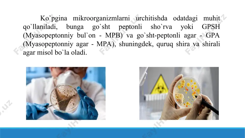 ozuqa muhitlari va ularning klassifikatsiyasi. sifatli taqdimot 11 bet. - Page 5