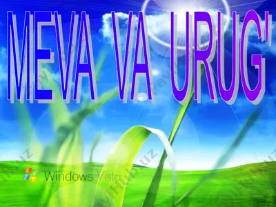 meva va urug' — PPT