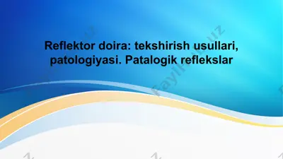 reflektor doira: tekshirish usullari, patologiyasi — PPTX