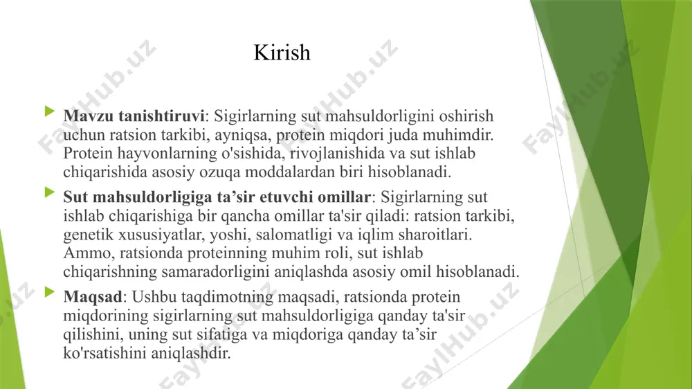 sigirlarning zotiga qarab, protein iste'molining sut ishlab chiqarishga ta'siri farq qiladi. yaxshi genetik xususiyatlarga ega sigirlar ko'proq sut berishi mumkin. masalan, yuqori mahsuldor zotlar (holstein, jersey) protein va boshqa ozuqa moddalari yuqori bo'lgan ratsionda maksimal darajada samarali bo'ladi. ratsion tarkibi: ratsiondagi protein miqdori sigirning sut ishlab chiqarishga bevosita ta'sir qiladi. oziq moddalar (protein, yog'lar, uglevodlar) o'rtasidagi muvozanatni saqlash muhimdir. shu bilan birga, energiya miqdori ham juda muhim, chunki u sut ishlab chiqarish uchun kerak bo'lgan harakatni ta'minlaydi. protein yetishmovchiligi va uning ta’siri sut mahsuldorligining pasayishi: protein yetishmovchiligi sigirlarning sut ishlab chiqarish darajasiga to'g'ridan-to'g'ri ta'sir qiladi. protein yetishmasa, sut ishlab chiqarish kamayadi, chunki organizm energiya va ozuqa moddalari yetishmasligini to'ldirish uchun ko'proq resurs sarflaydi. sut tarkibi: protein yetishmovchiligi nafaqat sut miqdorini, balki uning tarkibini ham o'zgartiradi. sutda protein miqdori kamayadi va yog' miqdori ham past bo'ladi. bu sutning ozuqaviy qiymatini pasaytiradi. sog'liqni saqlash: protein yetishmovchiligi sigirlarning immun tizimiga ham salbiy ta'sir …