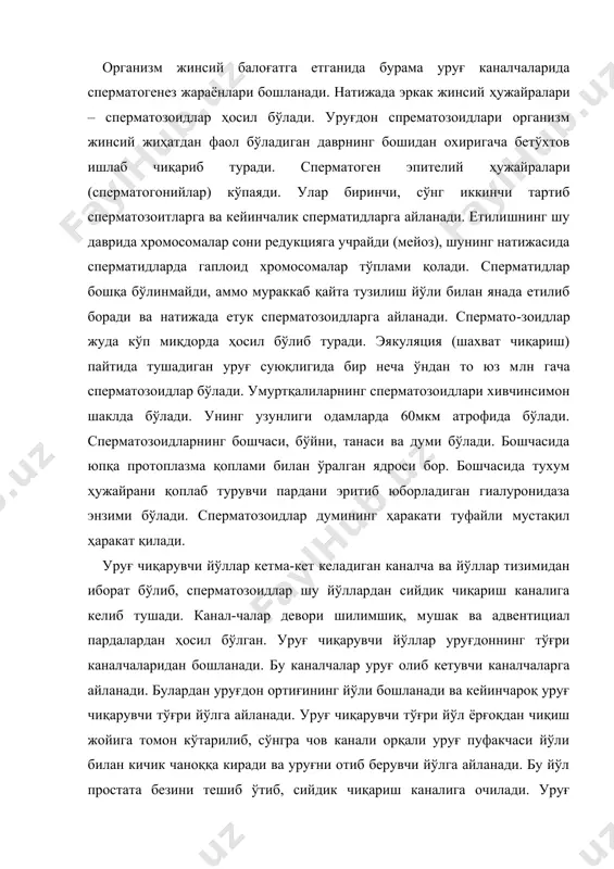 рувчи тўғри йўл ёрғоқдан чиқиш жойига томон кўтарилиб, сўнгра чов канали орқали уруғ пуфакчаси йўли билан кичик чаноққа киради ва уруғни отиб берувчи йўлга айланади. бу йўл простата безини тешиб ўтиб, сийдик чиқариш каналига очилади. уруғ чиқарувчи йўллар мушак пардасининг перистальтик қисқаришлари сперманинг эякуляция пайтида у отилиб чиққунича уруғ ўтказувчи йўллардан сурилиб боришига ёрдам беради. эркак жинсий йўлларида простата бези, бульбоуретрал безлар ва уруғ пуфакчалари бор. простата бези шаклан каштанга ўхшайдиган тоқ аъзо бўлиб, қовуқ устида жойлашган ва сийдик чиқариш каналининг бошини ҳар томондан ўраб туради. жуфт бульбоуретрал безлар ён томондан сийдик чиқариш каналига тақалиб туради. уруғ ўтказувчи йўлнинг бош қисмида дўмбоқча шаклдаги жуфт уруғ пуфакчалари қовуқ билан тўғри ичак орасида жойлашган. барча безларнинг чиқариш йўллари сийдик чиқариш каналига очилган бўлади. бу безларда таркиби жиҳатдан бир-бирига яқин бўлган секретлар ҳосил қилади. бу секретлар шахват чиққан пайтда отилиб чиқиб, спермага қўшилади ва унга ишқорий реакциядаги қуйиқроқ шилимшиқ суюқлик хоссасини беради. демак, …