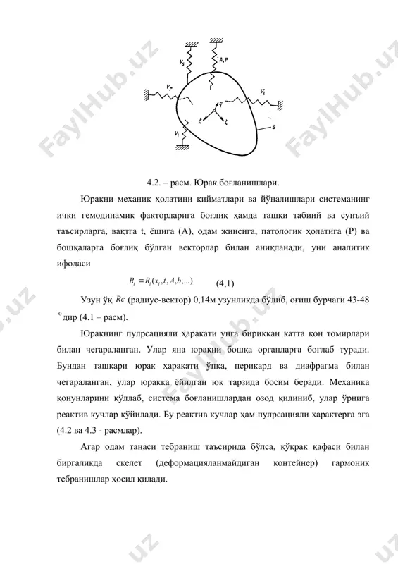 оринчага ўртадаги учинчи девори фибриллалари айлана бўйича йўналгандир. шу билан бир вақтда ички фибриллалар юрак паралелларига нисбатан +60 ва ташқилари эса -60 бурчак остида йўналган бўлиб, анизатроплиликни ҳосил қилади. 3. миокард деворлари бир қаватли; 4. миокард қалинлиги ўзгарувчандир. бу қалинлик 3 мм-15мм гача чап юрак олди қисмларда ўзгаради, лекин в.в.новожилов таъбирига асосан миокард деворини қалин деб ҳисобланади; 5. миокард девори кўчиши ва деформацияланиши каттадир. (бу ерда мускул саркомерлари 12-17% гача қисқартириш мумкин); 6. миокард қалинлиги систол ва диастол вақтида ўзгаради (8-28%гача ўзгариши мумкин); 7. чап қоринчада қон босими 0,1сек.да 1333 па, 0.2-0.4 сек ичида эса 10664-1333 па гача ўзгаради. систол бошида чап қоринча ҳажми 90-110 см ва охирида 40 см; 8. юрак деворига ички р1 ва ташқи р2 босим берилаяпти деб, уларни кучланиш ва деформацияланиш ҳо-латлари гидроэластик ва қобиқлар назариялари асосида аниқланади. 4.4 – расм. юрак холати ва оғирлик марказини ифодаловчи координата системаси. юрак мушаклари қисқариши юракнинг физиологик фаолияти қонни …