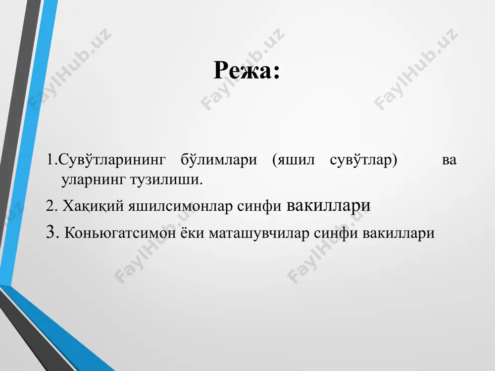 аспораларда хивчин бўлмайди, она ҳужайра ичида пўст ҳосил бўлади. жинсий кўпайиш изогамия гетерогамия оогамия -ривожланиши ва тузилиши жиҳатидан зооспораларга ўхшашдиган иккита бир хил ҳаракатчан гаметанинг қўшилиши -ҳаракатчан бўлгани билан катта-кичик иккита гаметанинг қўшилиши (каттароғи- урғочи, кичикроғи -эркак) -ҳаракатланмайдиган йирик тухум ҳужайрасининг хивчинлари бор кичик сперматозоид билан қўшилиши сувўтларнинг жинсий кўпайиши яшил сувўтлар бўлими хақиқий яшилсимонлар (chlorophyceae) синфи- жинссиз кўпайиши- зооспоралар воситасида; жинсий кўпайиш - изогамия, гетерогамия ва оогамия йўли билан коньюгатсимон ёки маташувчилар (conjugastophyceae) синфи- зооспоралар ҳосил қилмай; жинсий кўпайиши - гаметаларга дифференциялашмаган иккита вегетатив ҳужайранинг қўшилиши, яъни коньюгация йўли билан харасимонлар (charophyceae) синфи- зооспора ва апланоспора ҳосил қилмайди, жинсий кўпайиш - оогамия йўли билан боради. хақиқий яшилсимонлар синфи-chlorophyceae мазкур синф турларга бой бўлиб, 4 та қабилага бўлинади: вольвокснамолар-volvocales протококнамолар (хлорококнамолар)- protoccales улотрикснамолар-ulothrichales сифоннамолар -siphonales 1.вольвокснамолар-volvocales қабилага мансуб сувўтлар бир ҳужайрали ёки колонияли организмлар бўлиб, планктон ҳолда яшайди. улар ҳаракатсиз шилимшиқ колония шаклида бўлади. қабиланинг типик вакили: вакили: хламидомонада –chlamidomonada …