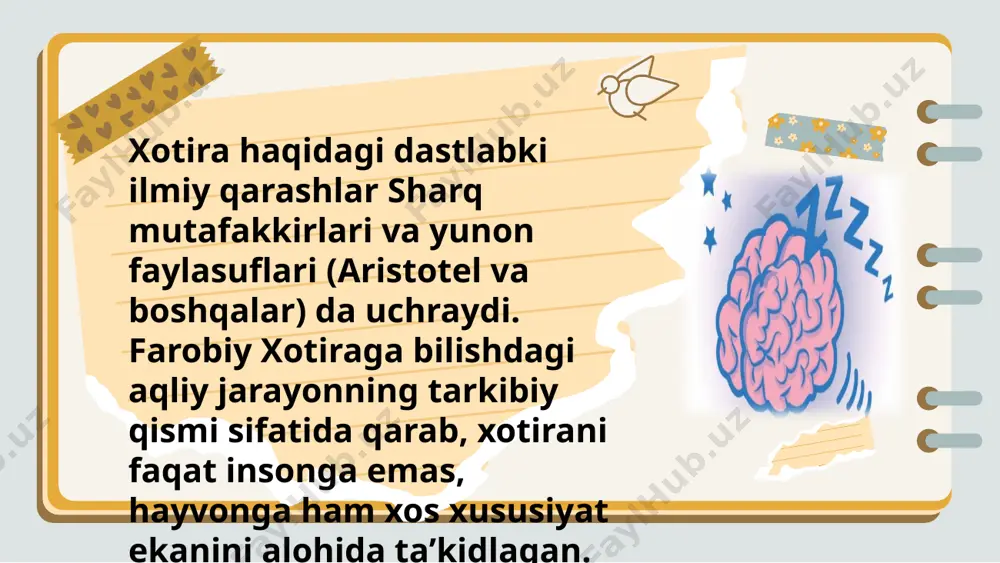 qisqa va uzoq muddatli xotiraning fiziologik mexanizmlari - Page 5