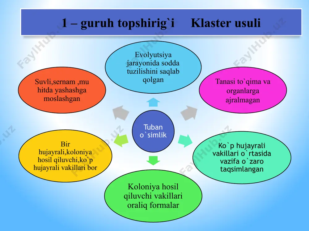 bo`lib, atrofida soch tushib ketadi. eng ko`p tarqalgan turlari: 1.trikofitoz 2.miksosporoz 3.favus tet teri koksidiomikoz kasalligi odamda uchraydigan zamburug`li kasalliklar oyoqlarda barmoqlar orasga ta`sir ko`rsatadi.teri ustida qizarish,tozalash paydo bo`ladi.qichishishi boshqa kasallik sababi ham bo`lishi mumkin.tirnash xususiyati shubhali hisoblanadi,akasriyati zamburug`li kasallik hisoblanadi qo`lda barmoqlar va tirnoqdan qizarish va tozalash boshlanadi. zambug`lar tomonidan chaqirilgan bo`lsa,tirnoq shakli o`zgarib,oq, sariq rangli yoriqlar paydo qiladi l i s h a y n i k l a r lishayniklar 2 xil suv o`tlari va zamburig`lar birga yashashidan hosil bo`lgan organizmdir. zamburug`lardan asosan xaltachali zamburug`lar, ba`zan bazidial zamburug`lar suvo`tlaridan ko`k yashil yoki yashil suvo`tlari ishtirok etadi. lishaynikni tashkil etgan bu ikki organizm bir-biridan foydalanib, qisman bir-biriga zarar yetkazib, yashashni davom ettiradi. zamburug`lar suvo`tiga suv va mineral moddalarni beradi. suvo`tidan esa organik moddalarni oladi. 27 lishayniklar xillari lobariya kladoniya kollemna bug`u lishaynigi mox 30 savol: achish natijasida xamir ko`tarilishini kuzatganmiz,xamir nima sababdan ko`tariladi? a. spirt hosil bo`lib ,gazsimon …