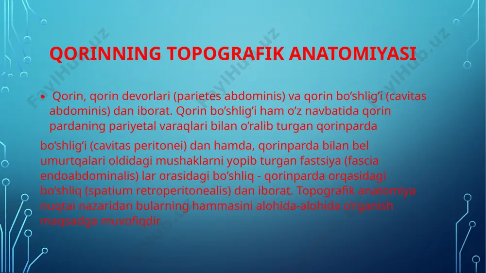 rini (lamina anterior vaginae m. recti abdominis), oq chiziqni (linea alba) hosil qiladi; mushaklararo fassial qavat (stratum fasciale intermusculare), ingichka g‘ovak kletchatka; m. obliquus abdominis internus bel-ko‘krak fassiyasi (fascia thoracolumbar) yuza plastinkasi, crista iliaca dan boshlanib, qorin to‘g‘ri muskuli tashqi cheti yaqinida aponevrozga aylanadi, aponevroz ikkita plastinkaga ajralib qorin to‘g‘ri muskuli fassial qinining ikkala devorini va qorin oq chizig‘ini hoisl qilishda ishtirok etadi; mushaklararo fassial qavat (stratum fasciale intermusculare); m. transversus abdominis pastki oltita qovurg‘alarning ichki yuzasidan, bel- ko‘krak fassiyasining chuqur plastinkasidan, yonbosh suyagidan boshlanib, qorin to‘g‘ri muskuli cheti yaqinida yarimoysimon (spigel) chizig‘i (linea semilunaris) hosil qilgan holda aponevrozga o‘tadi, aponevroz qorin to‘g‘ri muskuli fassial qinining orqa devorini shakllantirishda va qorin oq chizig‘ini hosil qilishda ishtirok etadi. m. rectus abdominis qovurg‘a tog‘aylarining oldingi yuzasidan va processus xiphoideus dan boshlanib qov suyagining yuqori shoxiga (ramus superior ossis pubis) birkadi. qorin to‘g‘ri muskuli qorin qiyshiq va ko‘nadalang muskullarining aponevrozlari hisobiga hosil bo‘lgan …