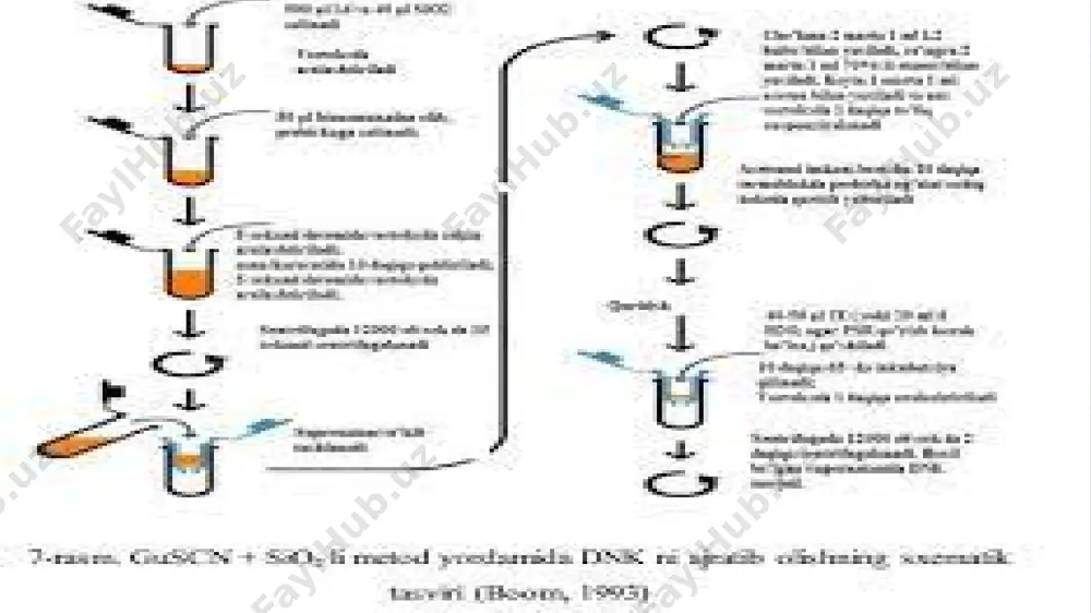 serologik reaksiyalar. pr, ifa, baktekrioliz reaksiya - Page 4