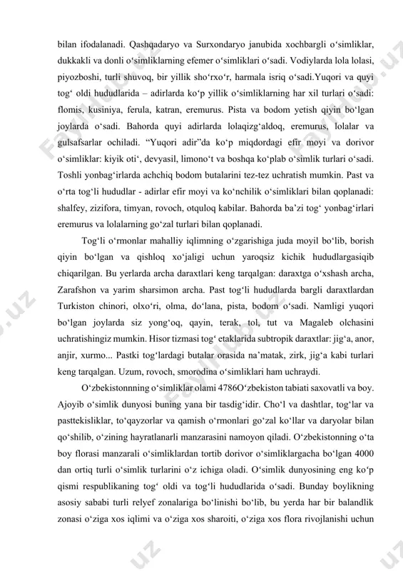 ay”ning yolg‘iz poyalari qoladi. sho‘rxok yerlarda galofitlar - tuzga chidamli o‘simliklarning vakillari o‘sadi. solonchaklar va shoʻr tuproqlarda bir yillik shoʻrxoʻtlar va eng qimmatli qora saksovul daraxti uchraydi. qizig‘i shundaki, sho‘r botqoqlarda bahorgi navlar yo‘q va o‘simliklar yoz oxirida paydo bo‘ladi.oʻzbekistonda daryolarning vodiylari va tekisliklarida toʻqay, daraxt va buta oʻsimliklari rivojlangan. ba’zida to‘qay o‘simliklari juda zich bo‘lib, o‘tib bo‘lmaydigan chakalakzorlarni hosil qiladi. bunday joylarda terak, majnuntol, (jiyda), har xil turdagi butalar - taroqsimon (yulg‘un) va tikanli halimondendron o‘sadi. bunday hududlarda oʻtlardan qizilmiya, tuya qushqoʻnmasi, qamish, eryantus oʻsadi. togʻ oldi tekisliklarida mahalliy oʻsimlik dunyosi oʻt va butalar bilan ifodalanadi. qashqadaryo va surxondaryo janubida xochbargli oʻsimliklar, dukkakli va donli oʻsimliklarning efemer oʻsimliklari oʻsadi. vodiylarda lola lolasi, piyozboshi, turli shuvoq, bir yillik shoʻrxoʻr, harmala isriq oʻsadi.yuqori va quyi togʻ oldi hududlarida – adirlarda koʻp yillik oʻsimliklarning har xil turlari oʻsadi: flomis, kusiniya, ferula, katran, eremurus. pista va bodom yetish qiyin bo‘lgan joylarda o‘sadi. bahorda …