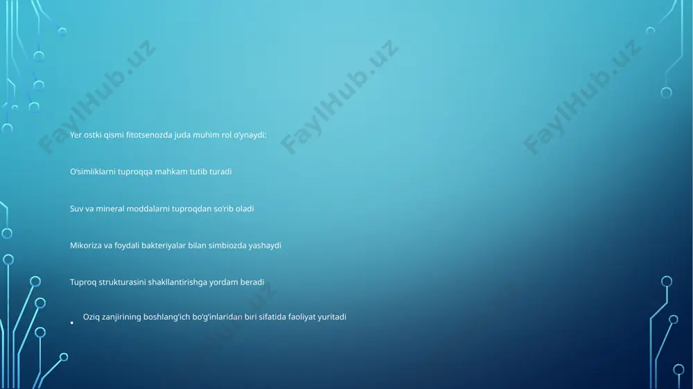 fitotsenozlar va yerostki qismi - Page 4