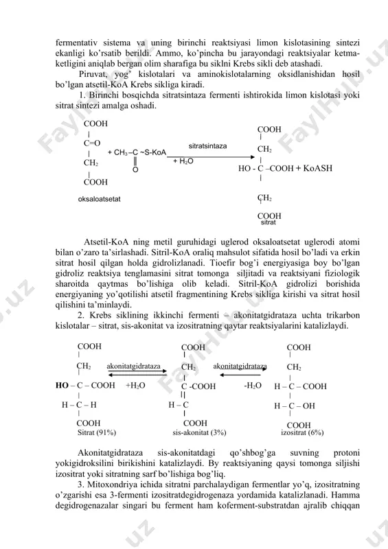 adi va reaktsiyani fiziologik sharoitda qaytmas bo’lishiga olib keladi. sitril-koa gidrolizi borishida energiyaning yo’qotilishi atsetil fragmentining krebs sikliga kirishi va sitrat hosil qilishini ta’minlaydi. 2. krebs siklining ikkinchi fermenti – akonitatgidrataza uchta trikarbon kislotalar – sitrat, sis-akonitat va izositratning qaytar reaktsiyalarini katalizlaydi. cooh ch2 akonitatgidrataza akonitatgidrataza ho – c – cooh +h2o -h2o h – c – h cooh sitrat (91%) sis-akonitat (3%) izositrat (6%) akonitatgidrataza sis-akonitatdagi qo’shbog’ga suvning protoni yokigidroksilini birikishini katalizlaydi. by reaktsiyaning qaysi tomonga siljishi izositrat yoki sitratning sarf bo’lishiga bog’liq. 3. mitoxondriya ichida sitratni parchalaydigan fermentlar yo’q, izositratning o’zgarishi esa 3-fermenti izositratdegidrogenaza yordamida katalizlanadi. hamma degidrogenazalar singari bu ferment ham koferment-substratdan ajralib chiqqan vodorod aktseptoriga ega. krebs siklining haqiqiy izositratdegidrogenazasi – nad ga bog’liq ferment bo’lib, u faqat mitoxondriya matriksida bo’ladi va izositratning degidrogenlanishini ta’minlaydi. mn2+ reaktsiyada 2-oksoglutarat bilan bir vaqtda oraliq mahsulot oksalosuktsinat ham hosil bo’ladi va ferment yuzasida ularning dekarboksillanishi amalga oshadi. izositratdegidrogenaza katalizlaydigan …