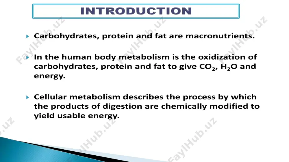 interaction between carbohydrate, protein and fat metabolism - Page 3