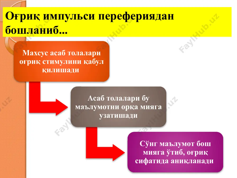 "клиник эндодонтия" фанидан 2-маъруза - Page 5