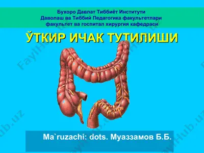 i̇chak tutilishi — PPT