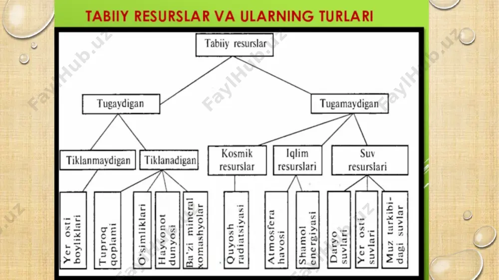markaziy osiyoning tabiiy sharoiti va tabiiy resurslari - Page 4