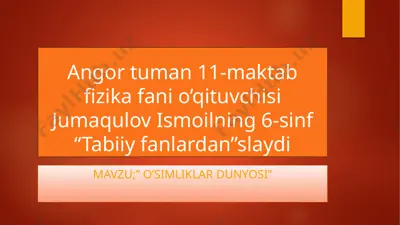 o'simliklar dunyosi — PPTX