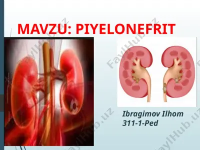 piyelonefrit — PPTX