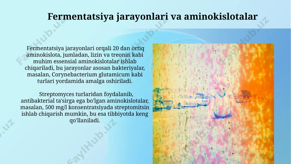 aminokislotalarning ishlab chiqarishda ishtirok etuvchi mikroorganizmlar - Page 4