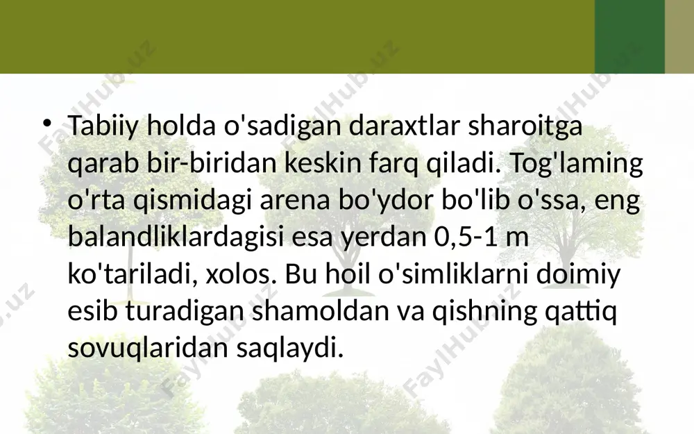 o‘simliklarning hayotiy shakllari. 6 - sinf - Page 4