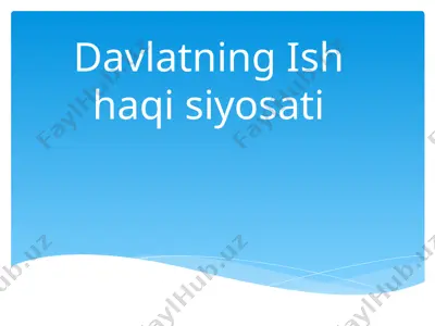 davlatning ish haqi siyosati — PPT