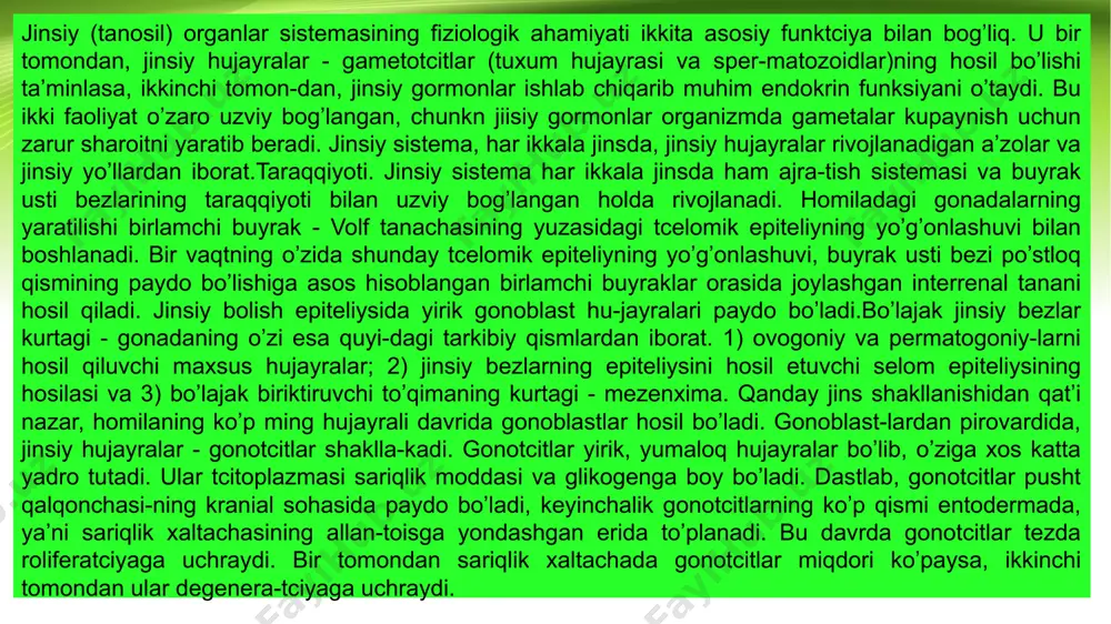ranial sohasida paydo bo’ladi, keyinchalik gonotcitlarning ko’p qismi entodermada, ya’ni sariqlik xaltachasining allan-toisga yondashgan erida to’planadi. bu davrda gonotcitlar tezda roliferatciyaga uchraydi. bir tomondan sariqlik xaltachada gonotcitlar miqdori ko’paysa, ikkinchi tomondan ular degenera-tciyaga uchraydi. erkak organizmining taraqqiyotida birlamchi buyrakning yuqori qirrasi bo’ylab jinsiy bolishlardan hosil bo’lgan jin-siy tizimchalar - seksual tasmalar o’sib kira boshlaydi. bu - epitelial tizimchalar rivojlanishining dastlabki davrida-radial yo’nalishda yotgan bo’lsa, so’ngra bo’yiga zo’r berib o’sishi tufayli egila boshlaydi va shu vaqtdan boshlab egri-bugri urug’ tizimchalari nomini oladi. boshlanishda bu tizimchalar morfo-logik jihatdan mutlaqo bir xil elementlardan tuzilgan bo’lsada, keyinchalik bu tizimchalarda differentciallanish boshlanib, tayanch va birlamchi jinsiy hujayralar ko’rinadi. embrio-nal taraqqiyotning to’rtinchi oyidan boshlab, kompakt bo’lgan urug’ tizimchalarida bo’shliq paydo bo’lib, ular egri-bugri yo’l-larga aylanadi (tubulus seminifer contortus). embrional taraqqiyotning so’nggi oylarida erkaklar jinsiy bezi o’zining tuzilishida kam o’zgaradi, faqat bola tug’ilib, balog’at yoshiga etganda (12-14) yosh spermatogoniydan murakkab o’zgarishlar yo’li bilan erkaklarning jinsiy hujayralari paydo …