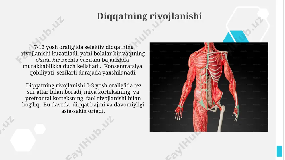 darajada ortadi, bu esa sensorli tizimlarning haddan tashqari yuklanishini ko'rsatadi. diqqatning barqarorligi va o'zgaruvchanligi diqqatning barqarorligi odatda 20-30 daqiqa davom etadi, shundan keyin uning pasayishi kuzatiladi va bu esa ishlash samaradorligiga salbiy ta'sir ko'rsatadi. diqqatning o'zgaruvchanligi 5-10 soniya oralig'ida bo'lishi mumkin va bu ogohlantirishlarning tez-tez o'zgarishi yoki murakkab vazifalar bajarilishi bilan bog'liq. diqqat va salomatlik surunkali stress va uyqusizlik diqqatni jamlash qobiliyatini 20-30% ga pasaytirib, kognitiv funktsiyalarni buzadi va yurak-qon tomir kasalliklari xavfini oshiradi. doimiy diqqatni talab qiladigan ishlar miya faoliyatini kuchaytiradi, lekin haddan tashqari zo'riqish bosh og'rig'i, migren va 30% gacha ko'proq asabiylashishga olib kelishi mumkin. diqqatning taqsimlanishi diqqatning taqsimlanishi odamning bir vaqtning oʻzida 2-4 ta vazifani bajarish qobiliyatini anglatadi, ammo samaradorlik har bir vazifaning murakkabligiga bogʻliq. diqqatning taqsimlanishi prefrontal korteks va parietal loblar kabi miya sohalarining faol ishtirokini talab qiladi va bu jarayon selektiv e'tibor mexanizmlariga bog'liq. e'tiboringiz uchun rahmat @taqdimot_robot image1.jpg image2.jpg image3.jpg image4.jpg image5.jpg image6.jpg image7.jpg …